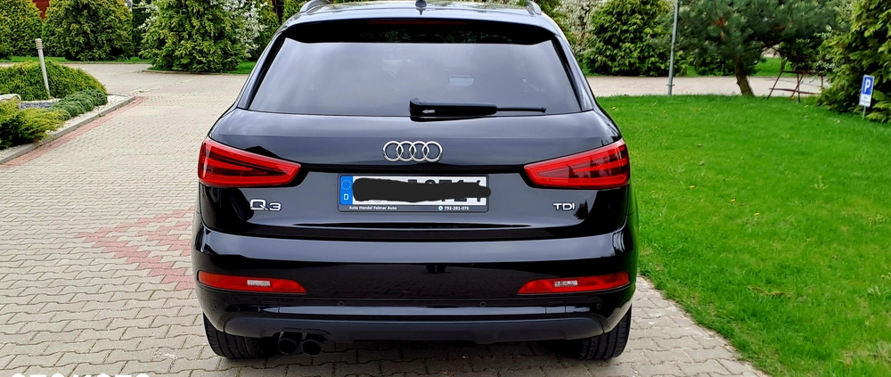 Audi Q3 cena 63900 przebieg: 207000, rok produkcji 2013 z Brodnica małe 254